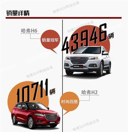 網通社汽車佳木斯安信 專業銷售服務，驅動龍江出行新體驗